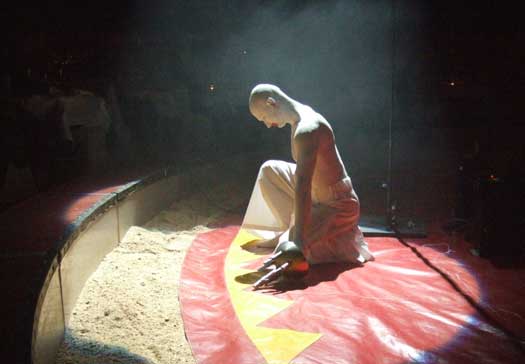 Bilder von der Circus Night 2007: Showprogramm